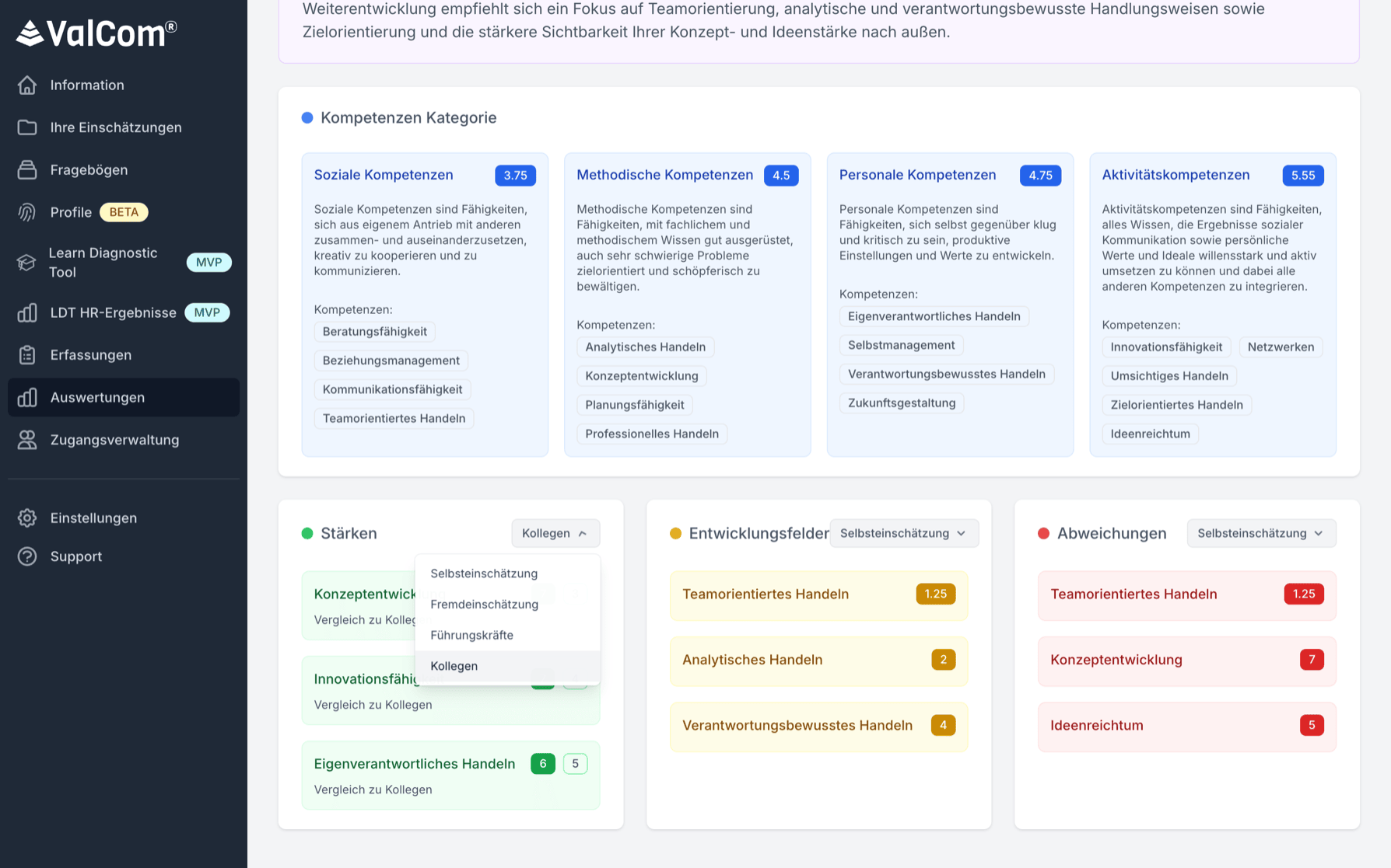 Valcom Kompetenz-Kategorien: Stärken, Entwicklungsfelder und Abweichungen